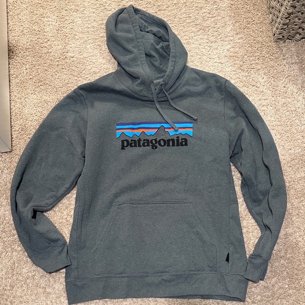 Patagonia Blue and Black Logo Gray Hoodie